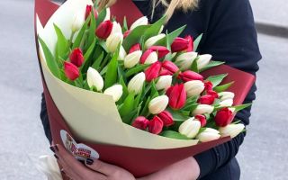 Какой букет тюльпанов подарить девушке?