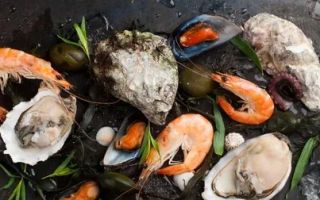 Как правильно выбирать морепродукты?