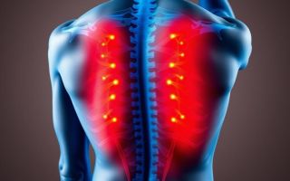 Почему ноют шея и спина: честно о причинах, простых решениях и реальных способах помочь себе