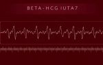 Бета-ХГЧ расшифровка: как читать анализ и что на самом деле он показывает