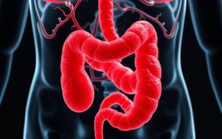 Как гиосцина бутилбромид снимает спазмы: просто о важном для тех, кто устал терпеть колики