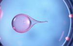 Оплодотворение in vitro: как работает лаборатория, что влияет на результат и чего ожидать