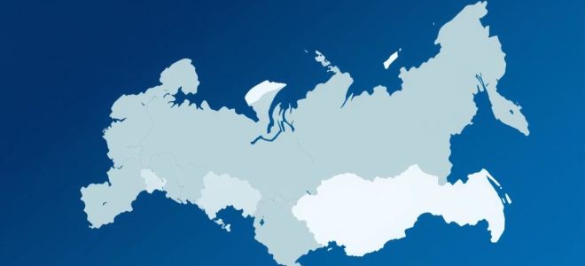 Российские операционные системы: кто есть кто и зачем это нужно