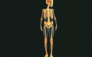 Лечение остеопороза: остановите хрупкость костей