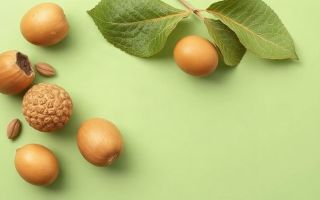 Орехи для женского здоровья: вкусный союзник в повседневном рационе