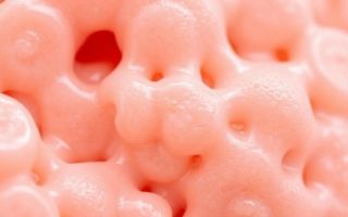 Сальные и потовые железы: строение, функции, заболевания, способы лечения