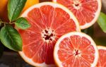 Грейпфрут и метаболизм эстрогенов: что скрывается за знакомым вкусом